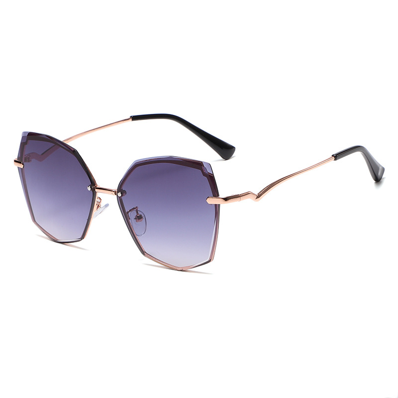 Fashion Cat Eye Large Frame Outdoor Women Sunglasses